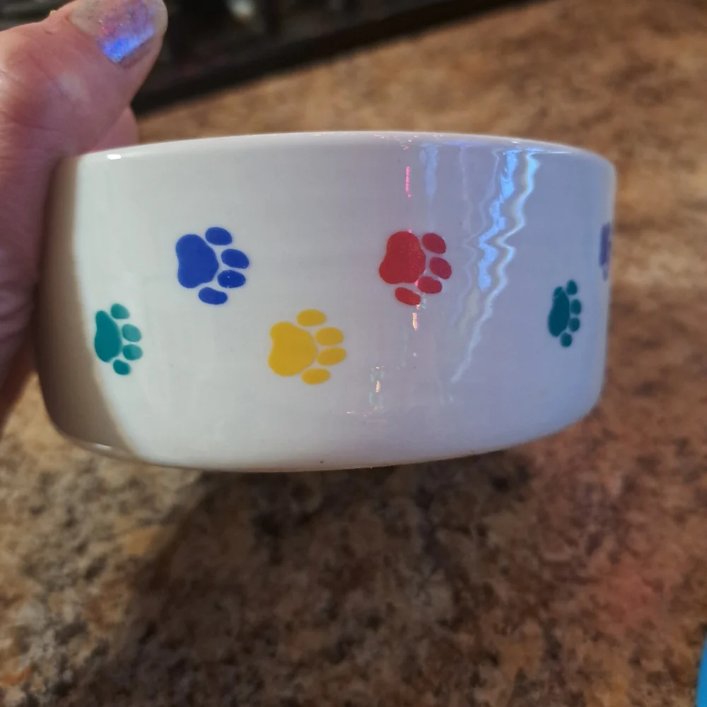 Dog/cat Feeding Bowl